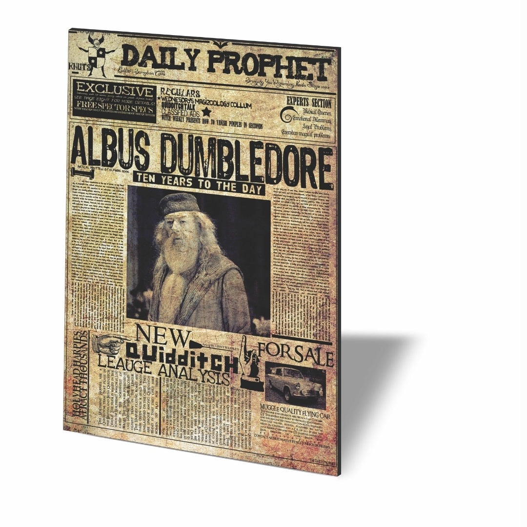 POSTER HARRY POTTER DUMBLEDORE