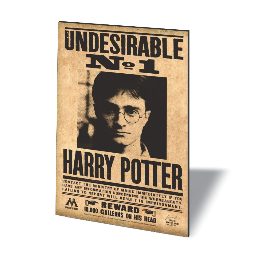 POSTER HARRY POTTER UNDESIRABLE