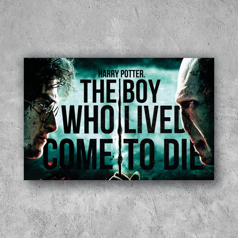POSTER HARRY POTTER VS VOLDEMORT