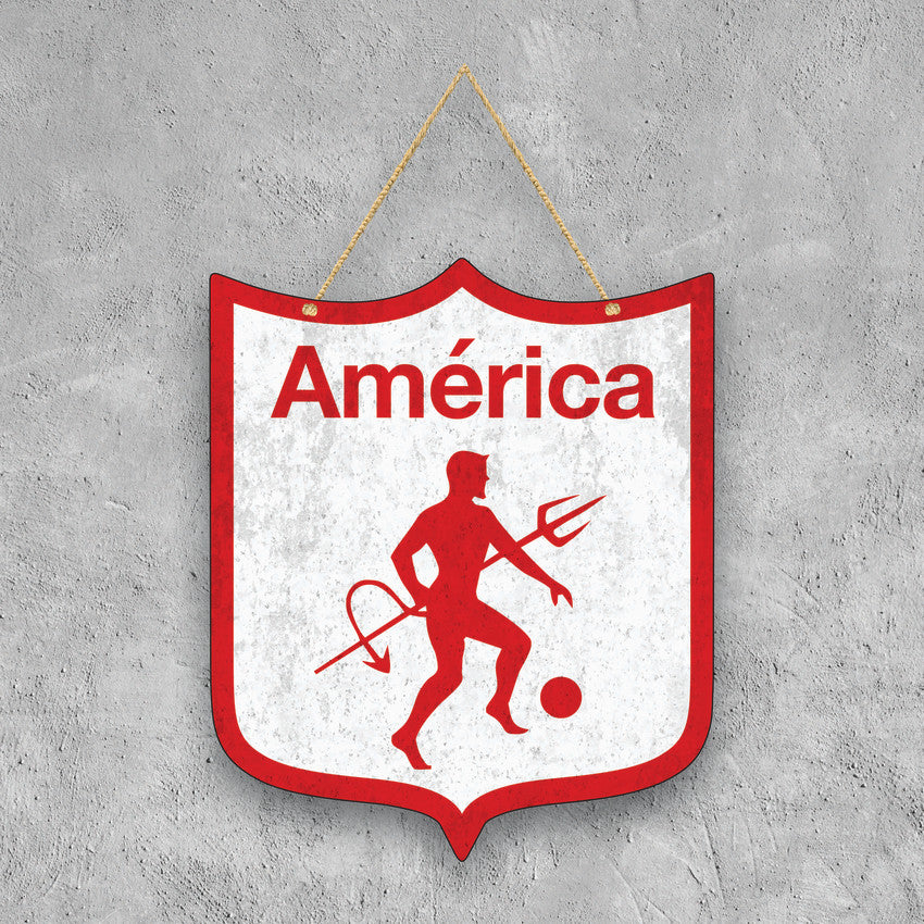 ESCUDO AMERICA