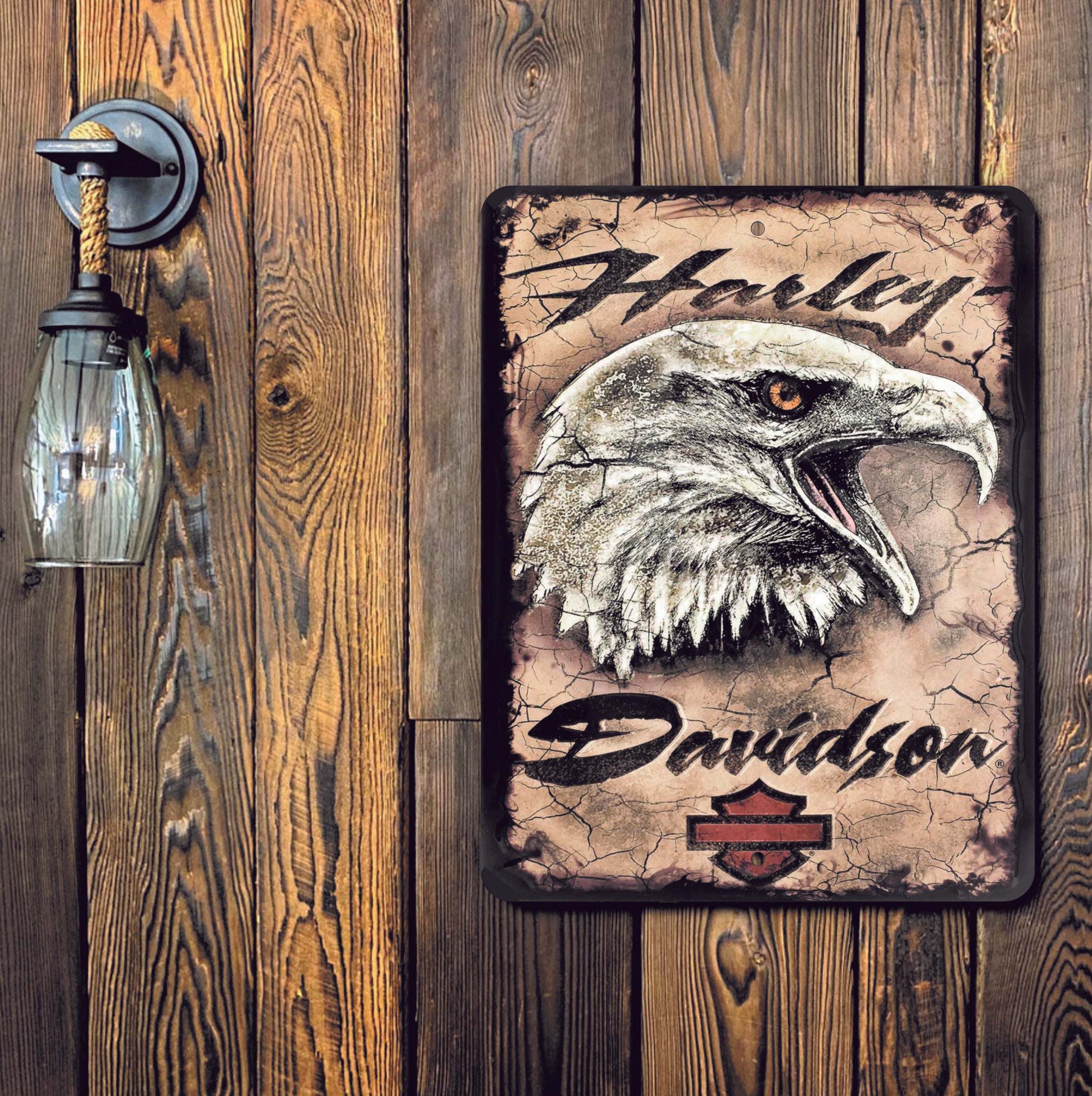 PLACA HARLEY-DAVIDSON AGUILA