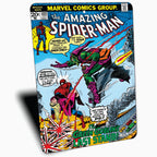 PLACA SPIDER-MAN Y EL DUENDE