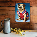 PLACA BULLDOG INGLES