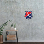 ESCUDO DIM