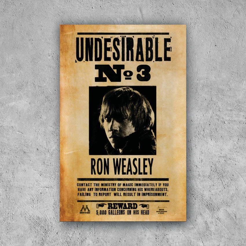 POSTER HARRY POTTER UNDESIRABLE 3